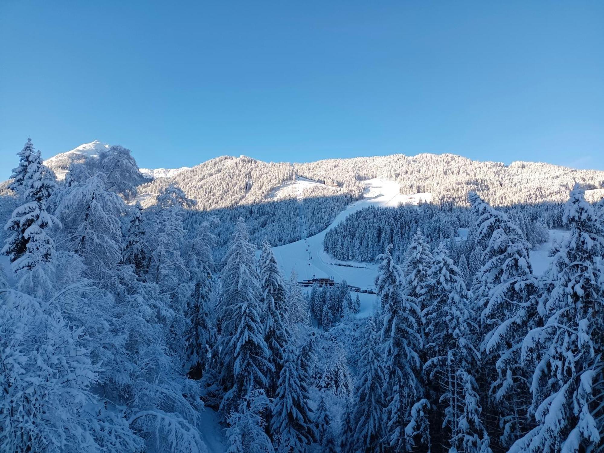 Chalet Leni Шладминг Экстерьер фото